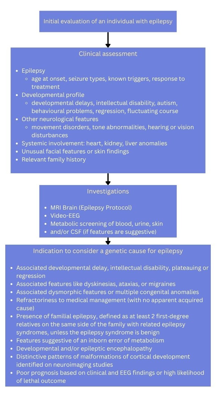 Fig 1 epilepsy eval